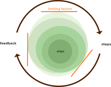 limiting factors