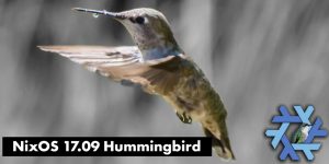 NixOs Hummingbird – das Interview