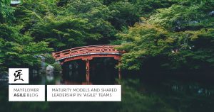 Does your Agile Maturity Model suck?
