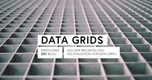 Aus dem Projektalltag: Evaluation von Data Grids
