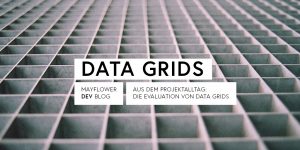 Aus dem Projektalltag: Evaluation von Data Grids