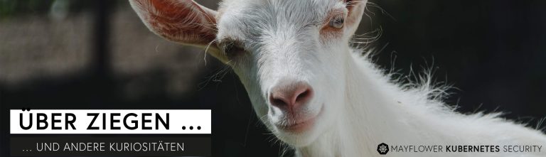 Kubernetes Security: Über Ziegen und andere Kuriositäten