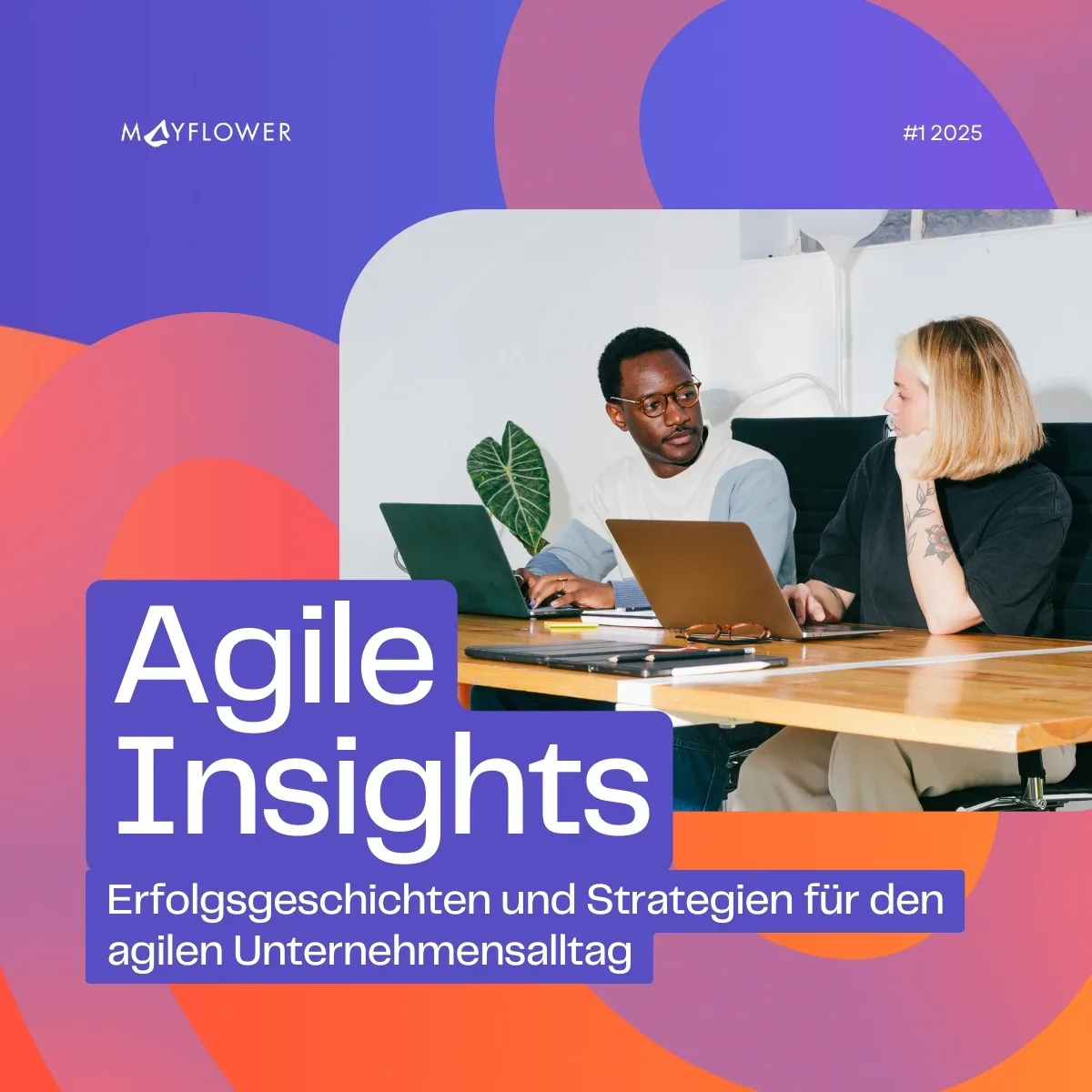 Die Agile Insights für das erste Quartal 2025