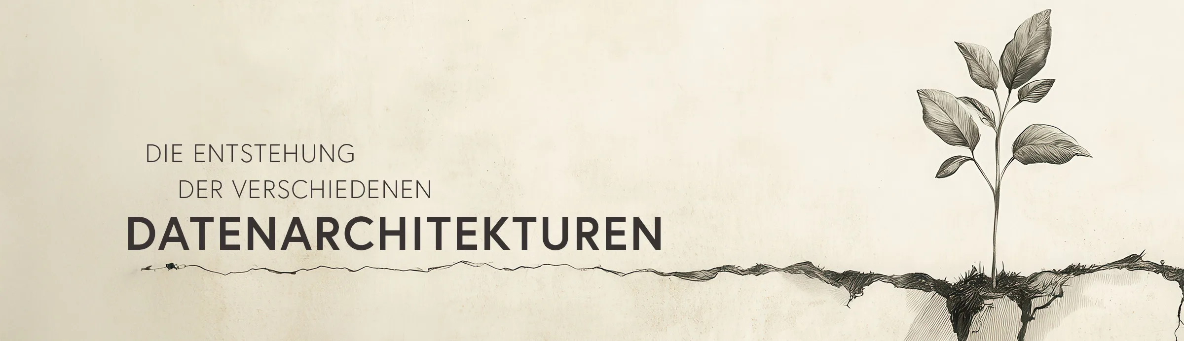 Die Entstehung der verschiedenen Datenarchitekturen