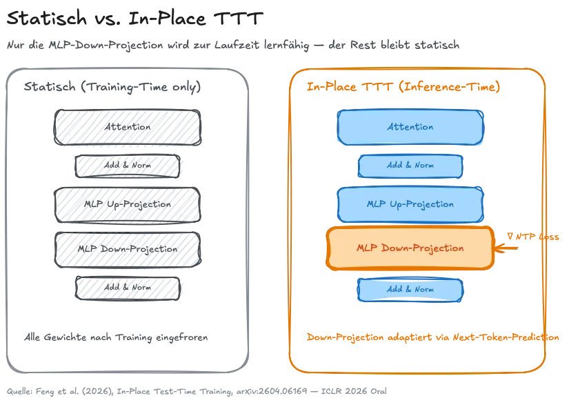 Der strukturelle Unterschied. Nur eine einzige Matrix pro MLP-Block wird zur Laufzeit lernfähig – der Rest bleibt statisch.